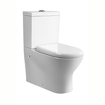 Hudson Wall Faced  Toilet