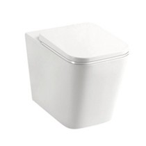 Wall Faced Pan & Seat