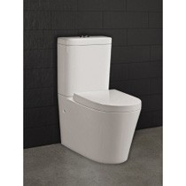 Mercury Wall Faced Toilet